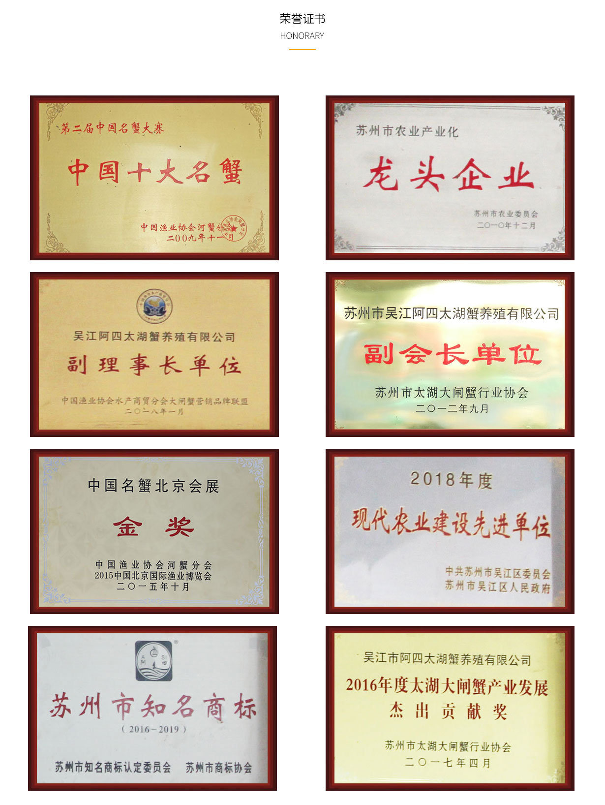 7cf2353caad1dd8a97faba2bea8c7f67_ryzz.jpg